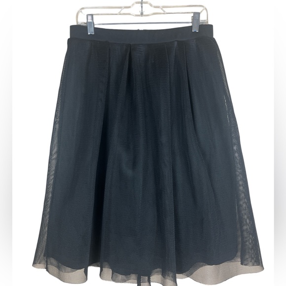 Nwt-Fully lined net pleated skirt - Picture 1 of 5